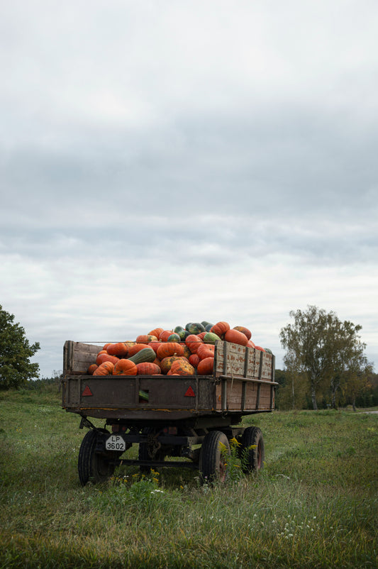 Disposal and Removal (Add-on)